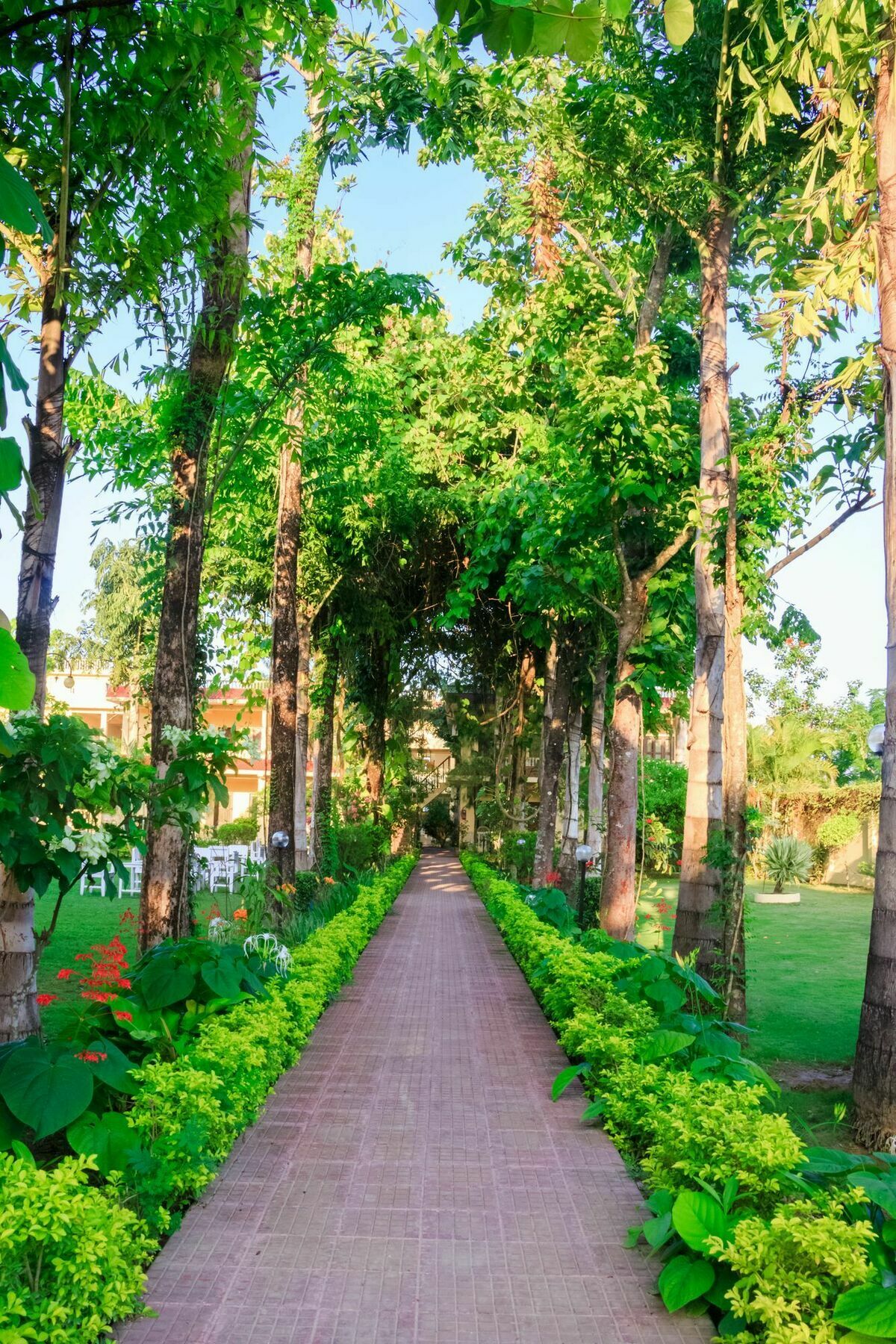 Hotel Rainforest Sauraha Luaran gambar