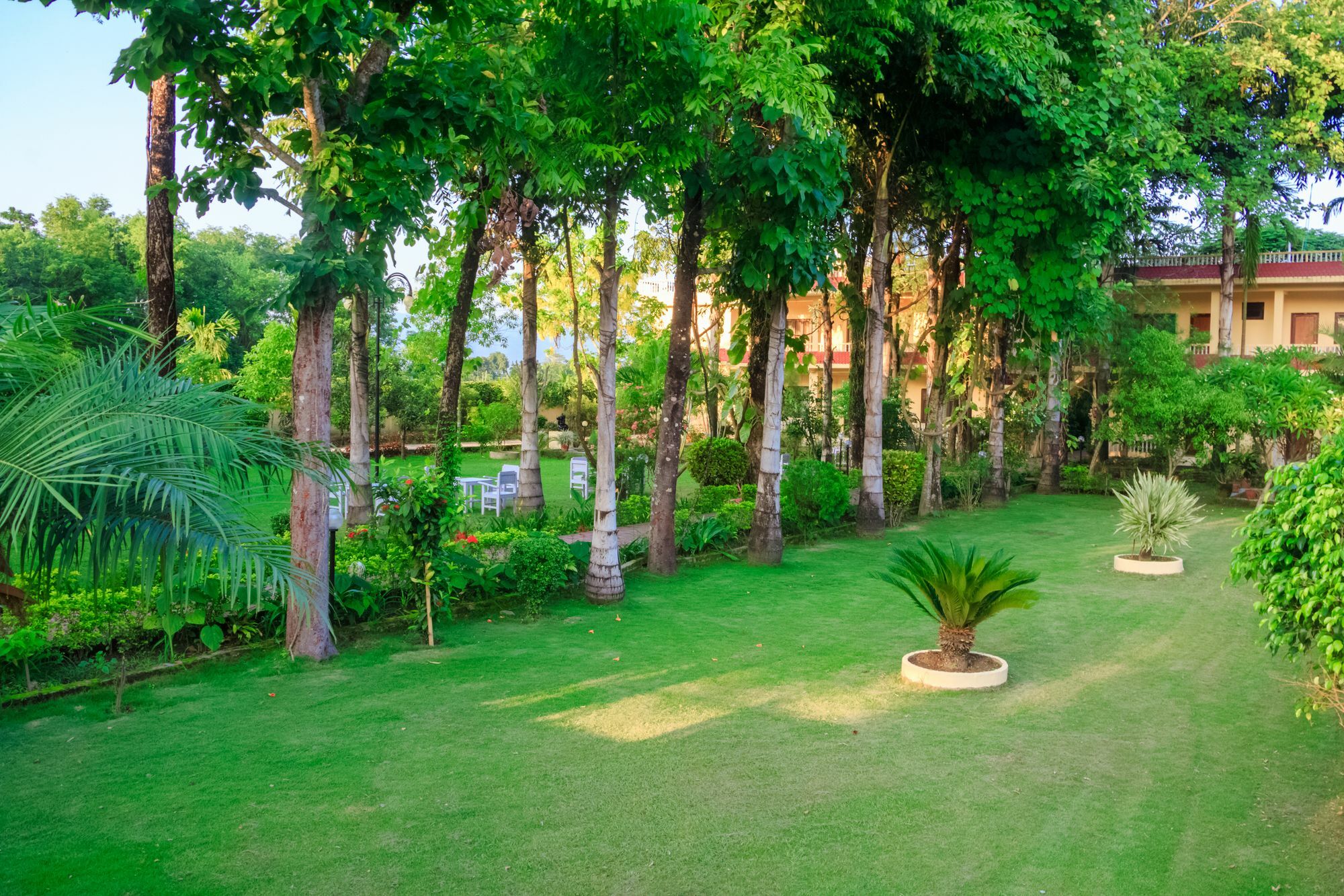 Hotel Rainforest Sauraha Luaran gambar
